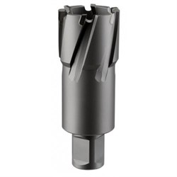 Кольцевая фреза ROTORICA TCT 14x55 RT.4225014 252-175790 - фото 4858816
