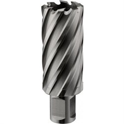 Кольцевая фреза ROTORICA HSS 13x55 RT.4215013 252-175772 - фото 4863248