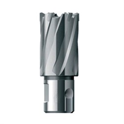 Кольцевая фреза FE Powertools HSS 12x30 252-181617 - фото 4864108