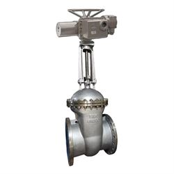 Задвижка клиновая 30нж941нж DN GVWR2434M-2W-F Ду200 Ру16 фланцевая корпус - нержавеющая сталь 12Х18Н9ТЛ, уплотнение - металл, c ОСТ-фланцеми круглым штоком управление - электропривод DN MT-N-030EM-O2-220-У1 220В D040-08159 - фото 5373620