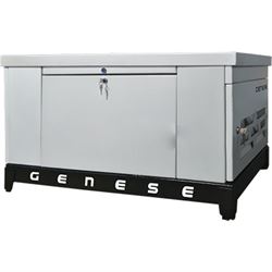 Газовый генератор Genese GE35 (в шумозащитном кожухе) 548-093753 - фото 5531723
