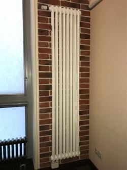 Стальной трубчатый радиатор 2-колончатый Arbonia 2180/08 N69 твв RAL 9016 M88357 - фото 5629640
