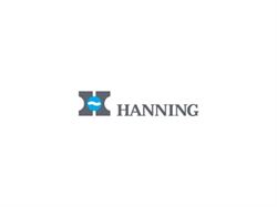 Электродвигатель Hanning OE6y2B3-273 90 Вт A4797 - фото 5790269