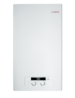 Настенный газовый котел Protherm Рысь HK 11 (0010016518) M187206 - фото 5964378