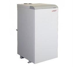 Напольный газовый котел Protherm Медведь 20 TLO (20TLOR15) M11108 - фото 5970792