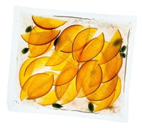 Пакеты для вакуумирования PolyScience G15x30/105 E156839