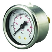 Манометр в глицериновой ванне Pedrollo MCG 6 50015/2G