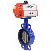 Затвор дисковый поворотный DN GG25-316L-NBR Ду40 Ру16 с пневмоприводом DA-052 двойного действия D050-24814
