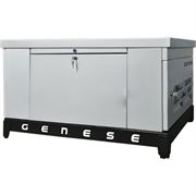 Газовый генератор Genese GE60 (в шумозащитном кожухе) 548-093756