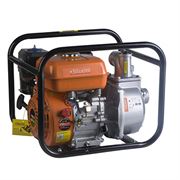 Мотопомпа Sturm BP8761 182-041257