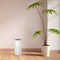 Очиститель воздуха Hysure Kilo Air Purifier M189803 - фото 3451773