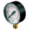 Манометр Pedrollo MR 10 50015/0 - фото 4555569