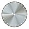 Алмазный диск Dr Schulze DRS-SetEF 4,0 (700 мм) 142-045905 - фото 4837686
