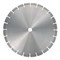 Диск алмазный WS-2 d 800x3,5x60/35 мм (20x5.0/4.6x12) 142-049254 - фото 4837774
