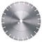 Алмазный диск Lissmac BSW-11 700 мм (посадочное отверстие 60 мм) 142-052643 - фото 4837943