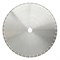 Алмазный диск Dr Schulze SB-E Standart (700 мм) 142-045903 - фото 4838442