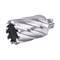 Сверло корончатое по металлу ПрофОснастка d 39 L=55/88 мм №33 Weldon19 HSS M2 252-147567 - фото 4864832
