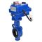 Затвор дисковый поворотный DN WBV0232E-2W-Fb Ду25 Ру16, корпус - алюминевый сплав, диск - нержавеющая сталь 316L, уплотнение - EPDM, с 1/4-оборотным электроприводом QT-N-003EM-O1-220VAC-У1 blue 220В D050-24853 - фото 5393467